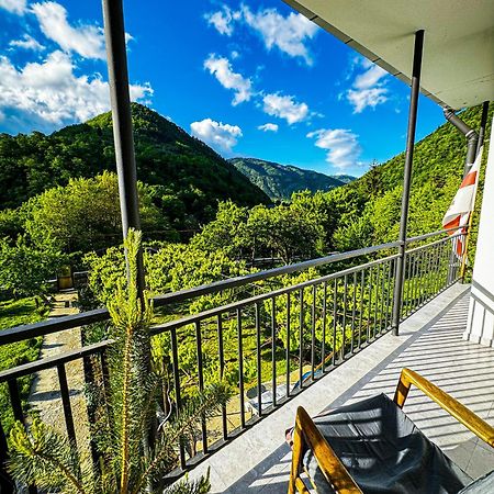 Family Hotel Mountain Panorama Borjomi Bagian luar foto