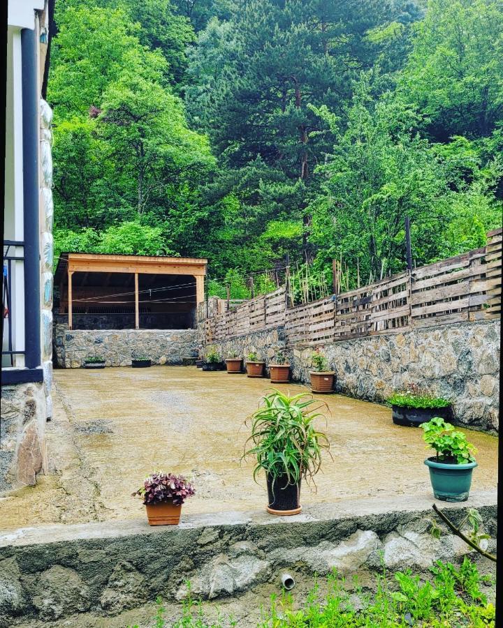 Family Hotel Mountain Panorama Borjomi Bagian luar foto