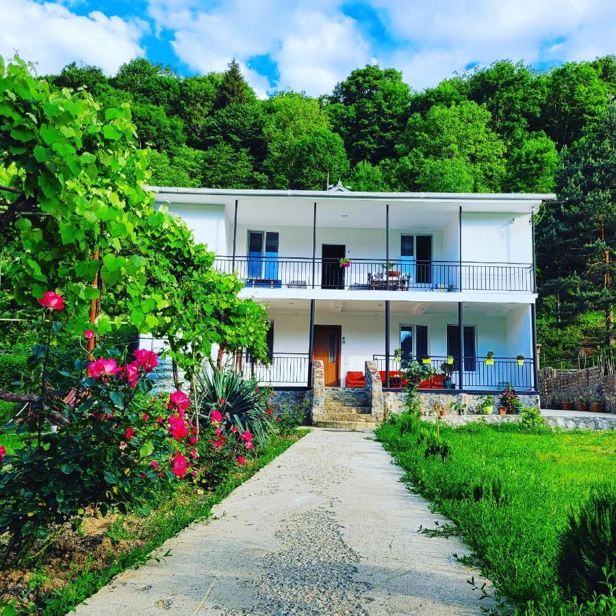 Family Hotel Mountain Panorama Borjomi Bagian luar foto
