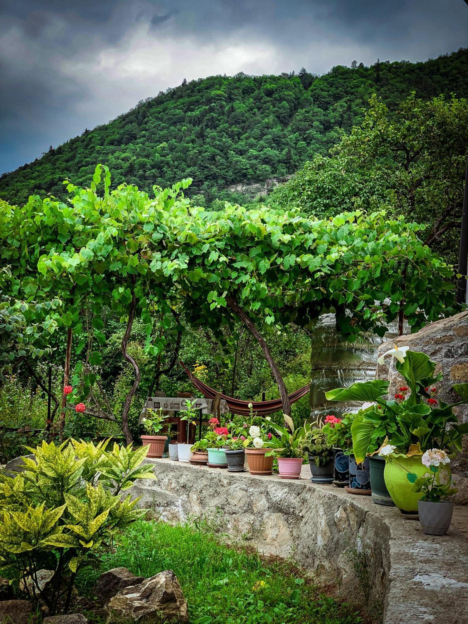 Family Hotel Mountain Panorama Borjomi Bagian luar foto
