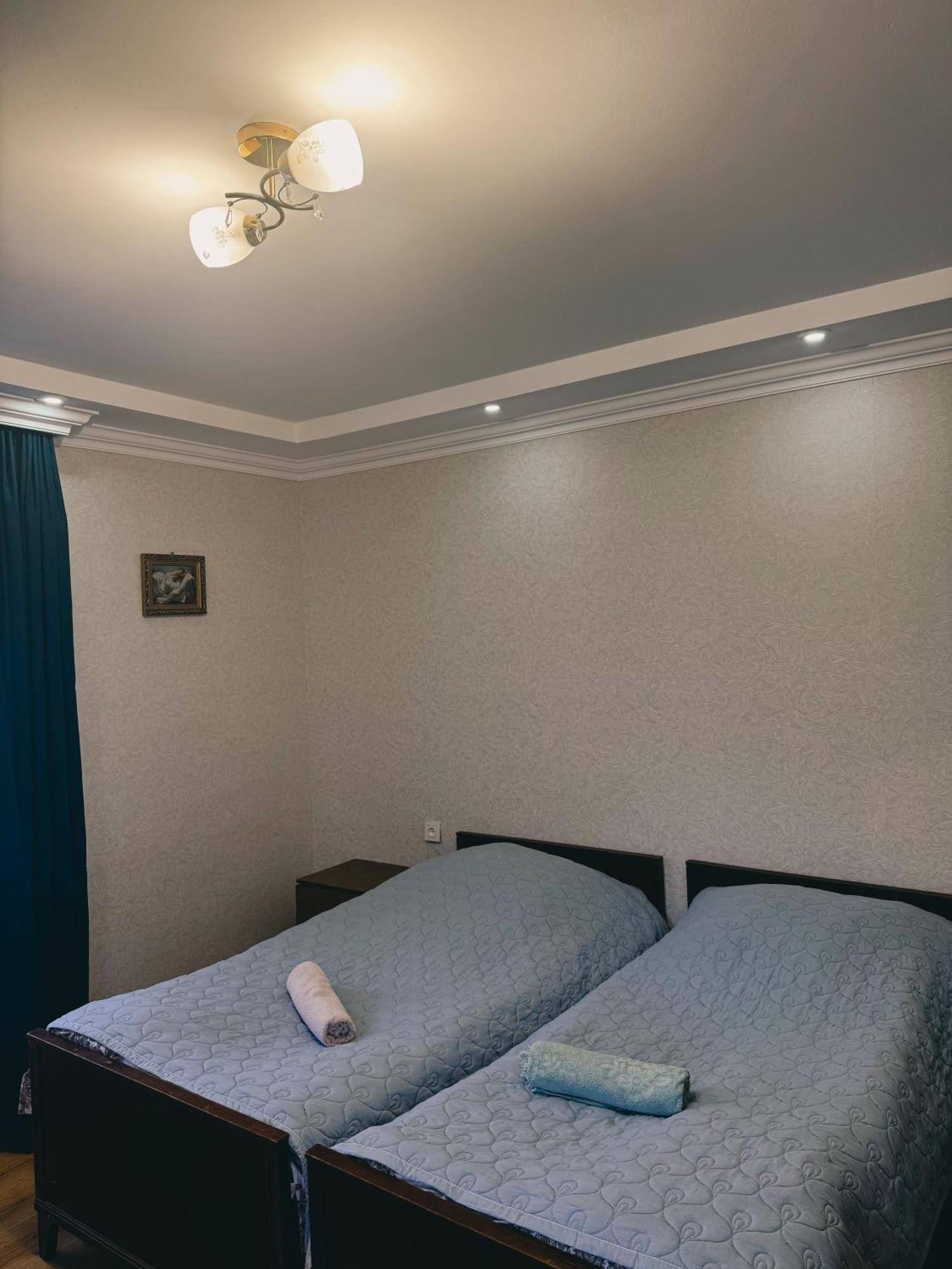 Family Hotel Mountain Panorama Borjomi Bagian luar foto
